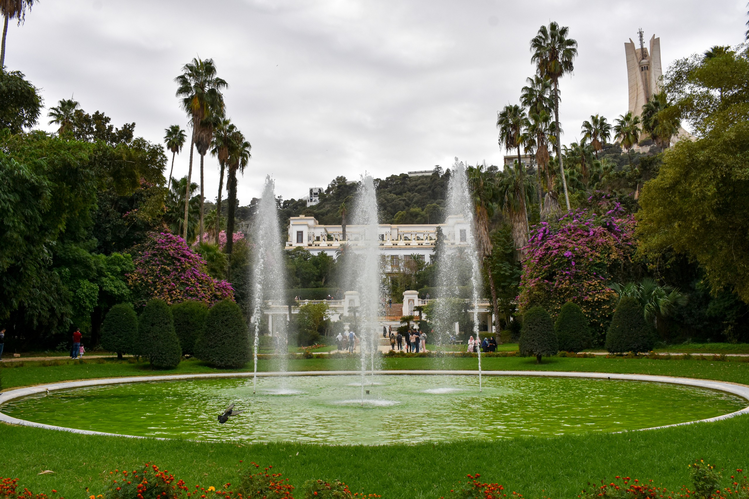 Le Jardin d'Essai : histoire et trésors d'Alger !