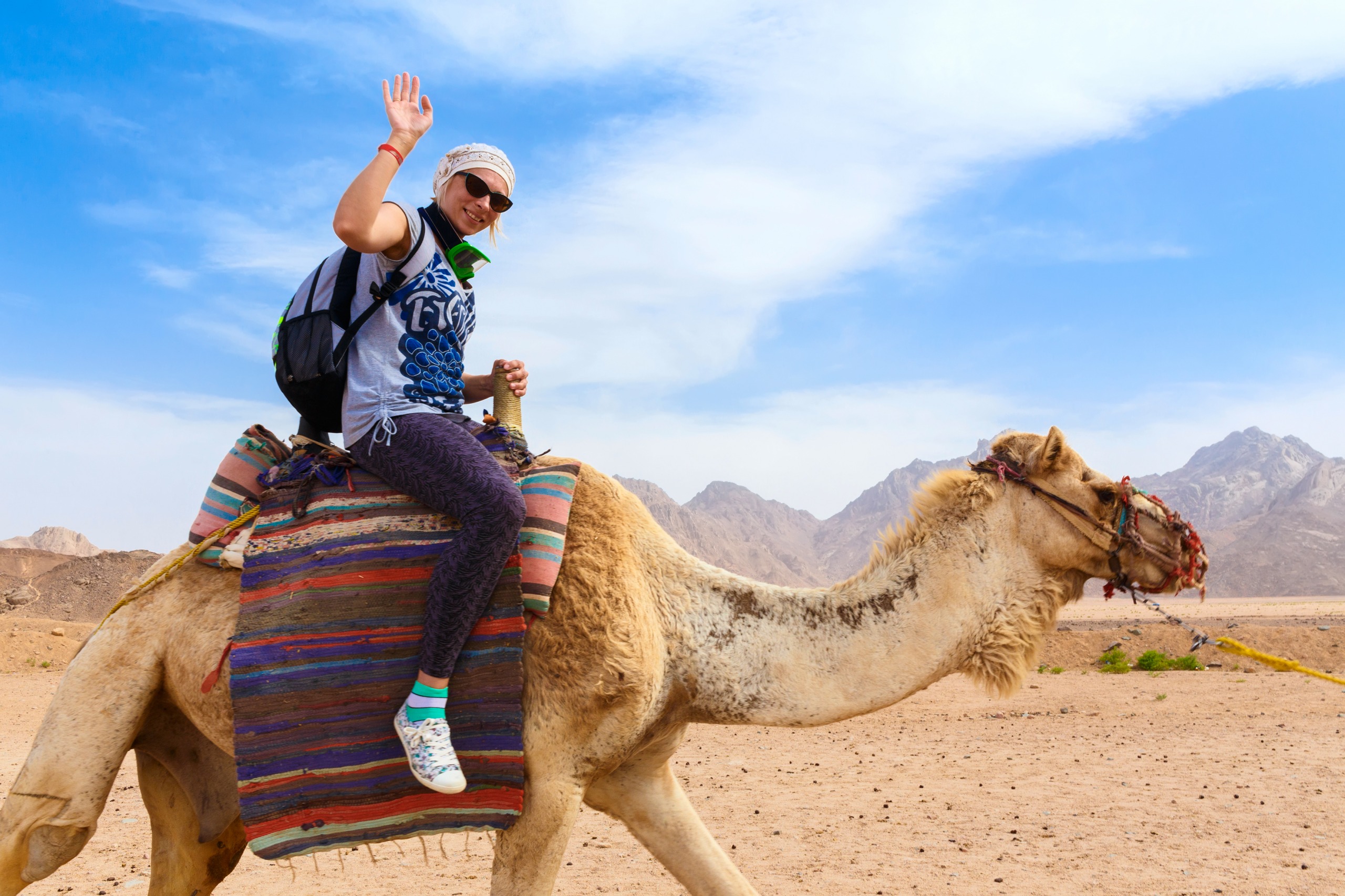 Conseils à un futur Meharist en pays Touareg