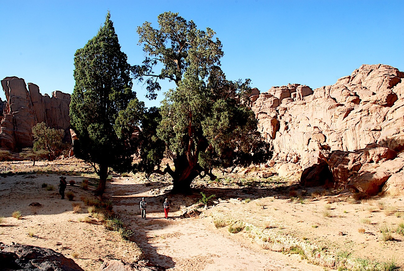 Au pays des Kel Medak, de Sefar, Tamghit à Jabbaren