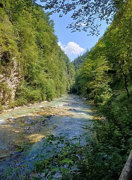 Radovna Valley