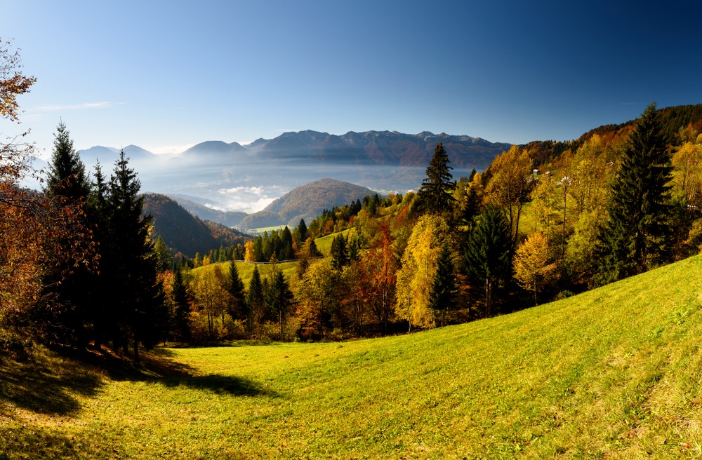 Le plateau de Pokljuka