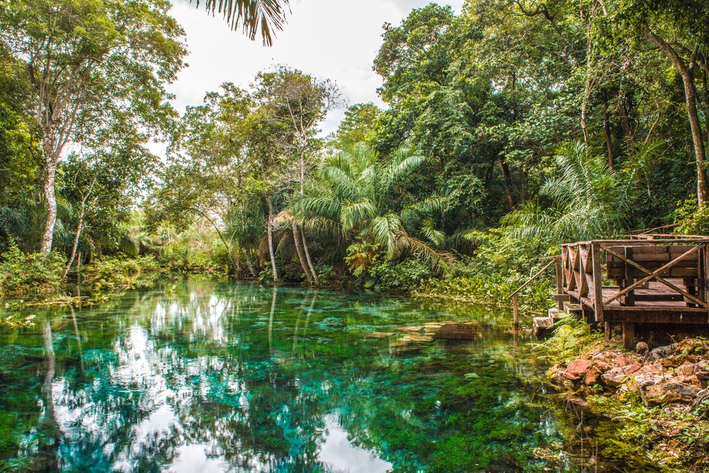 Rivière Sucuri