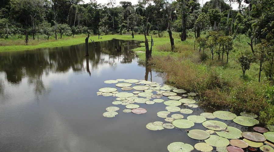 Parque Ecologico Januari