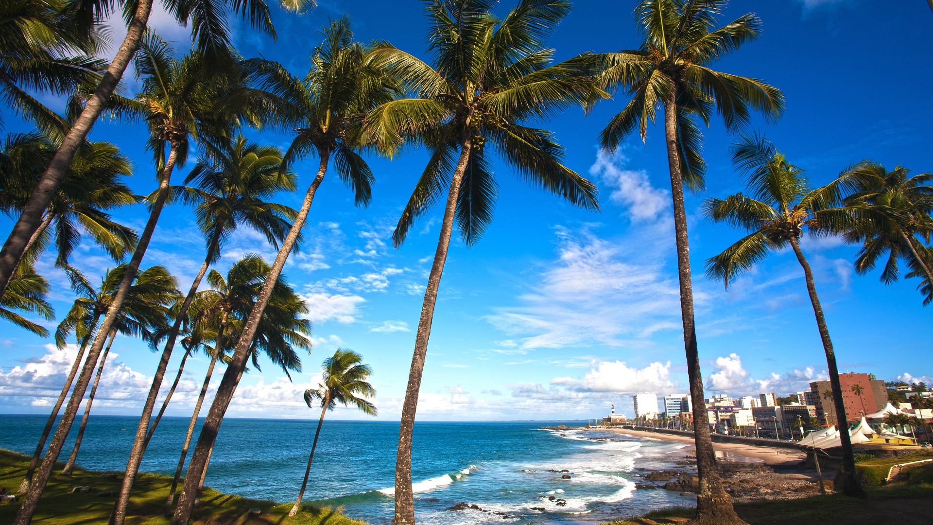 Salvador