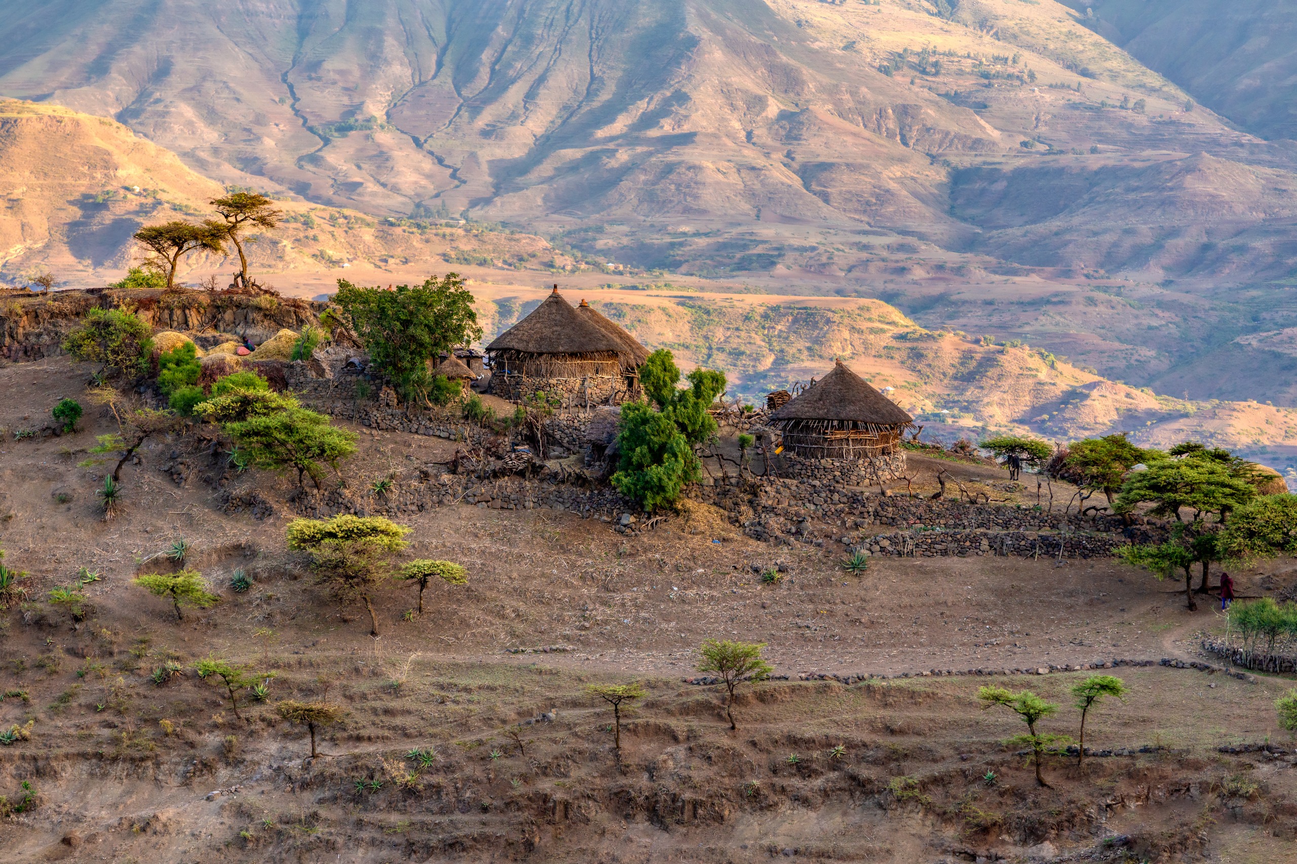 Amhara