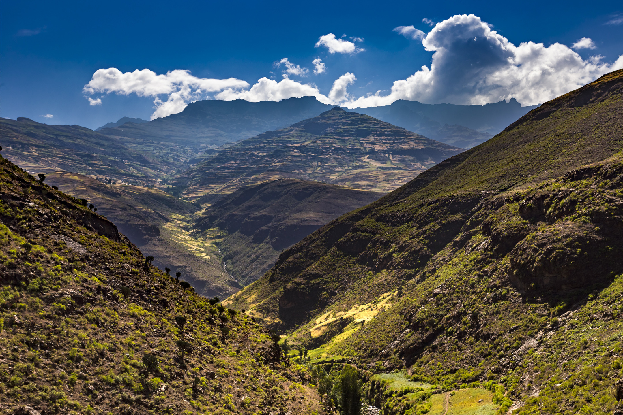 Parc national du Simien