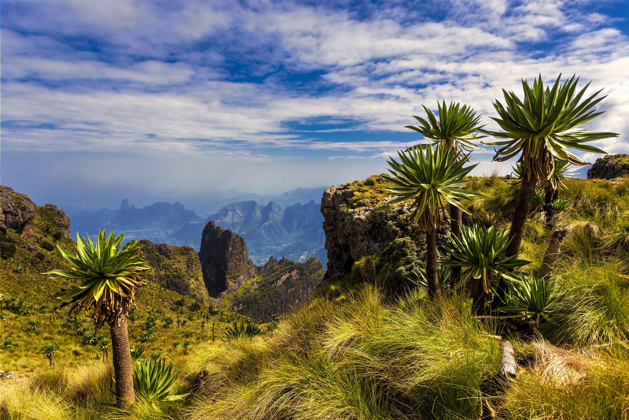 Simien Massif