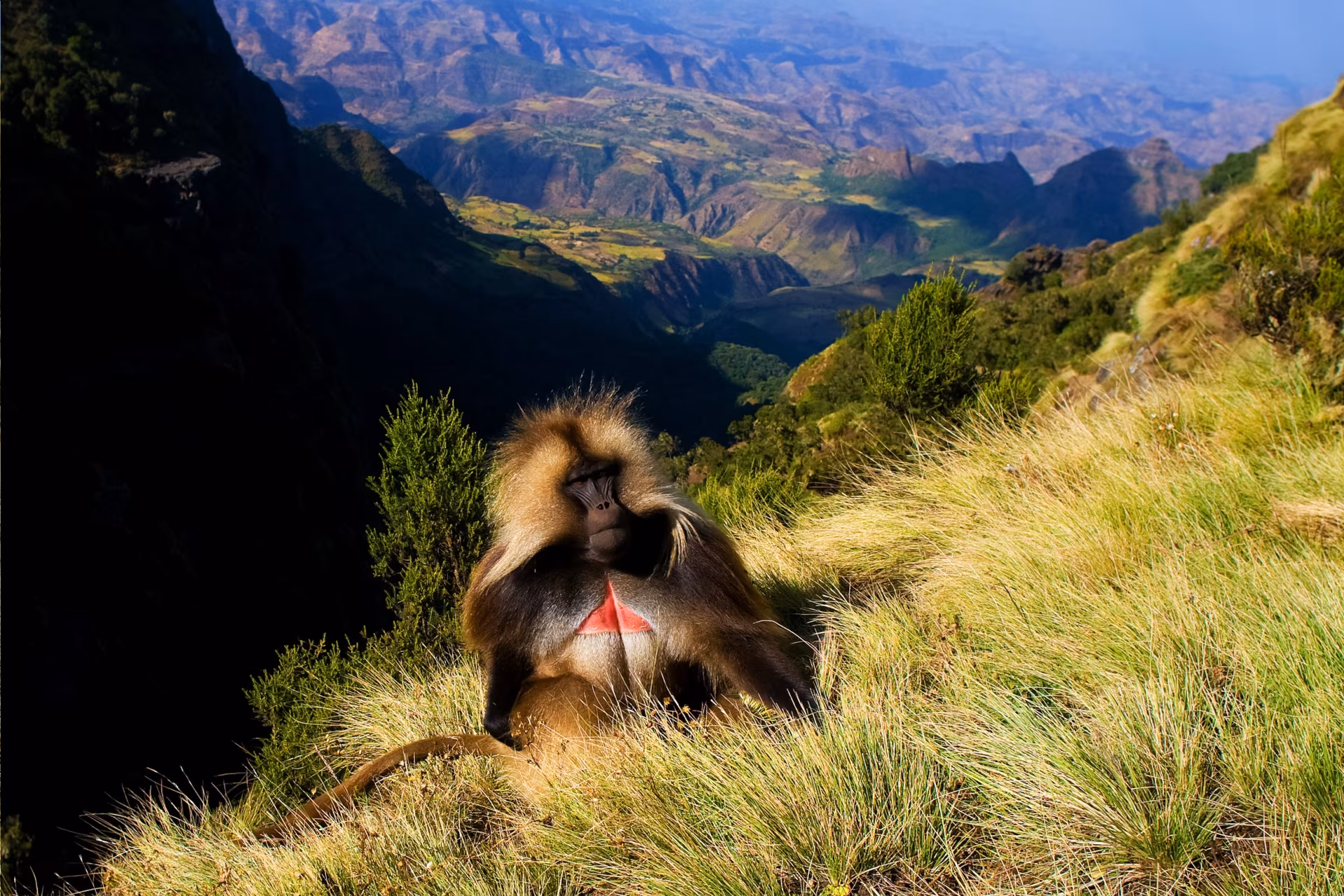 Grand tour d'Ethiopie : Des territoires tribaux de la vallée de l'Omo aux anciens royaumes des hauts plateaux d'Abyssinie