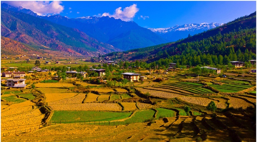 Alcuni giorni nel Regno del Drago