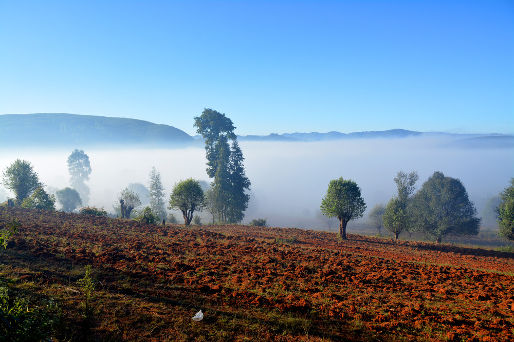 Triangle d'or et trek en pays Shan