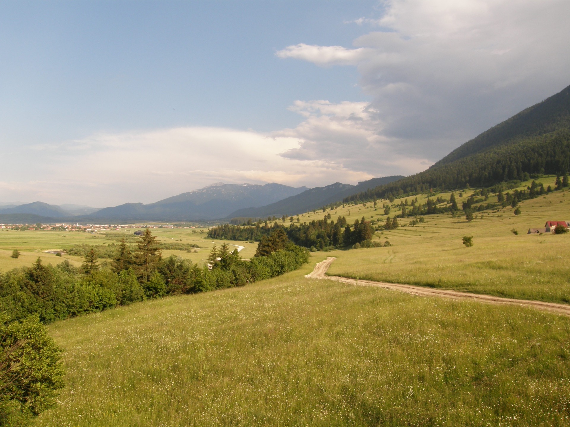 Le sanctuaire des ours