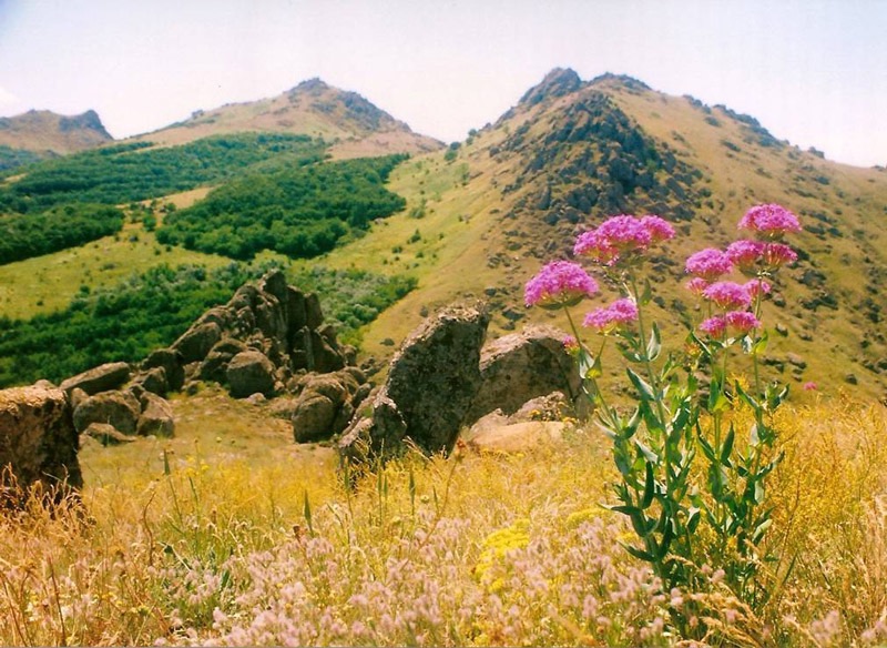 Parc National des Monts Macin