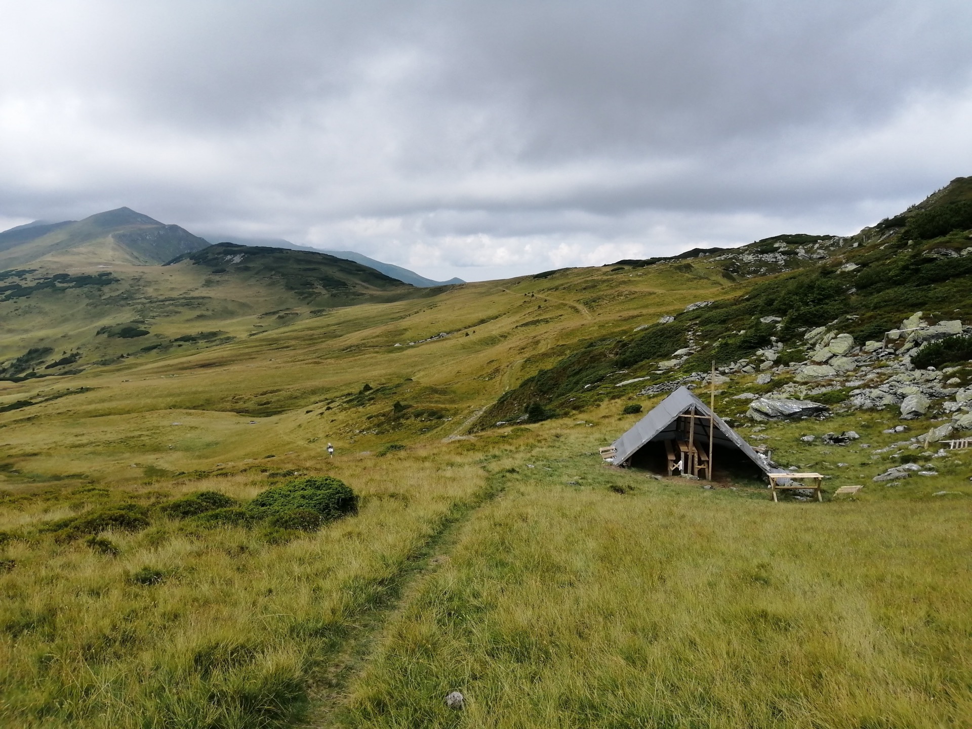 Les Monts Rodnei