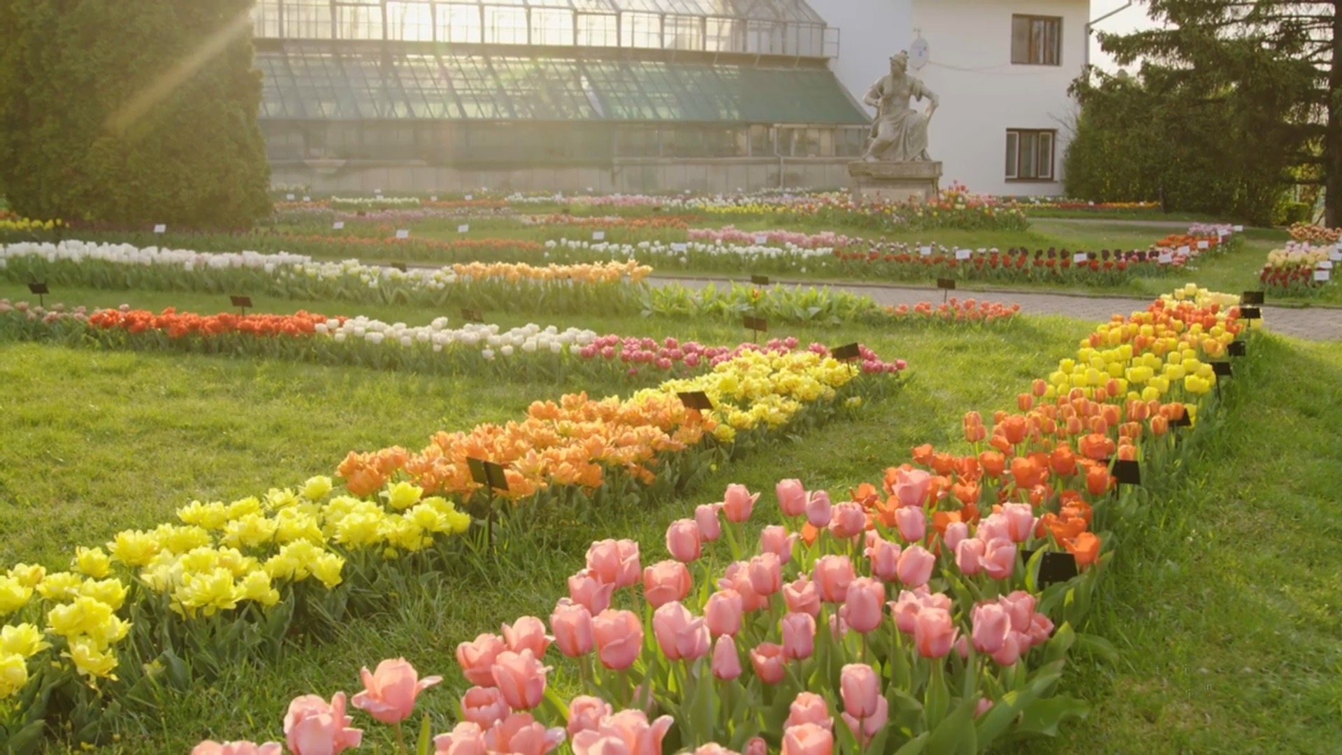 Le Jardin Botanique „Alexandru Borza”
