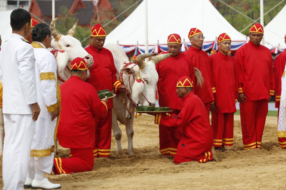 Les fêtes et festivals thaïlandais mois par mois