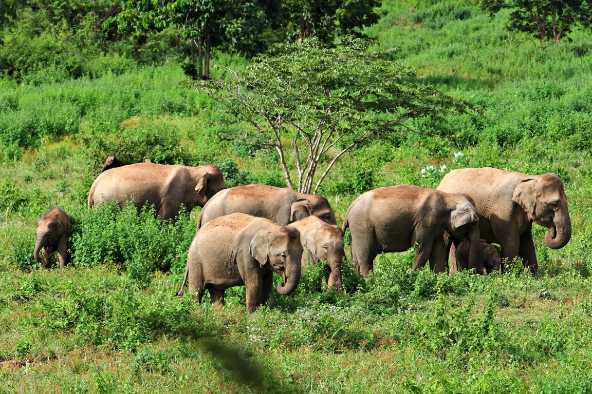 Parc national de Kui Buri