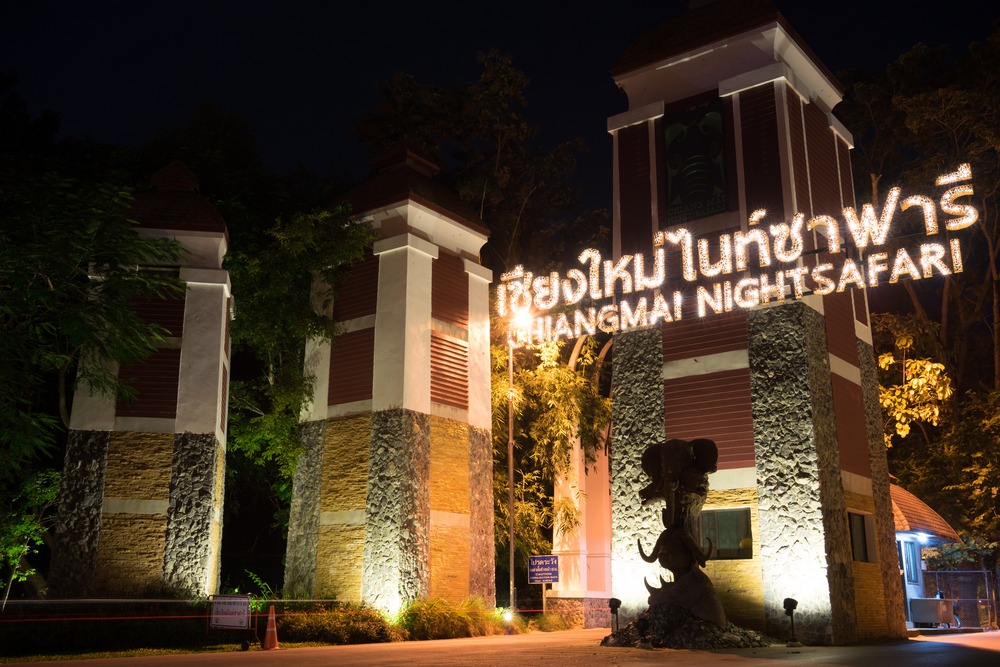 Chiang Mai night safari