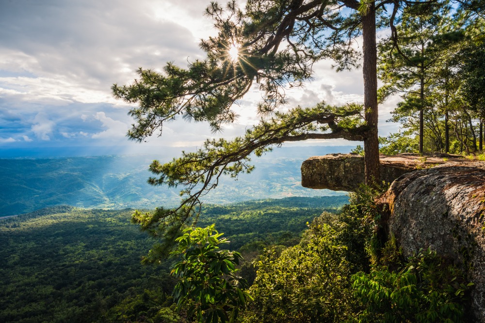 Paysage de la région Isan, le Nord-Est en Thaïlande