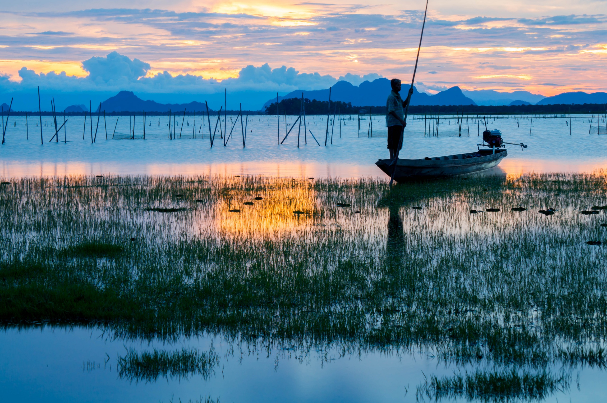 Grand Parc d'Oiseaux Aquatiques de Thale Noi