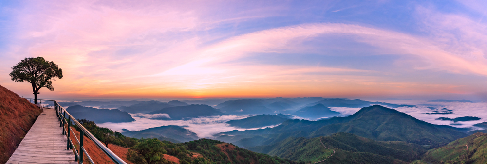 Doi Pui Co