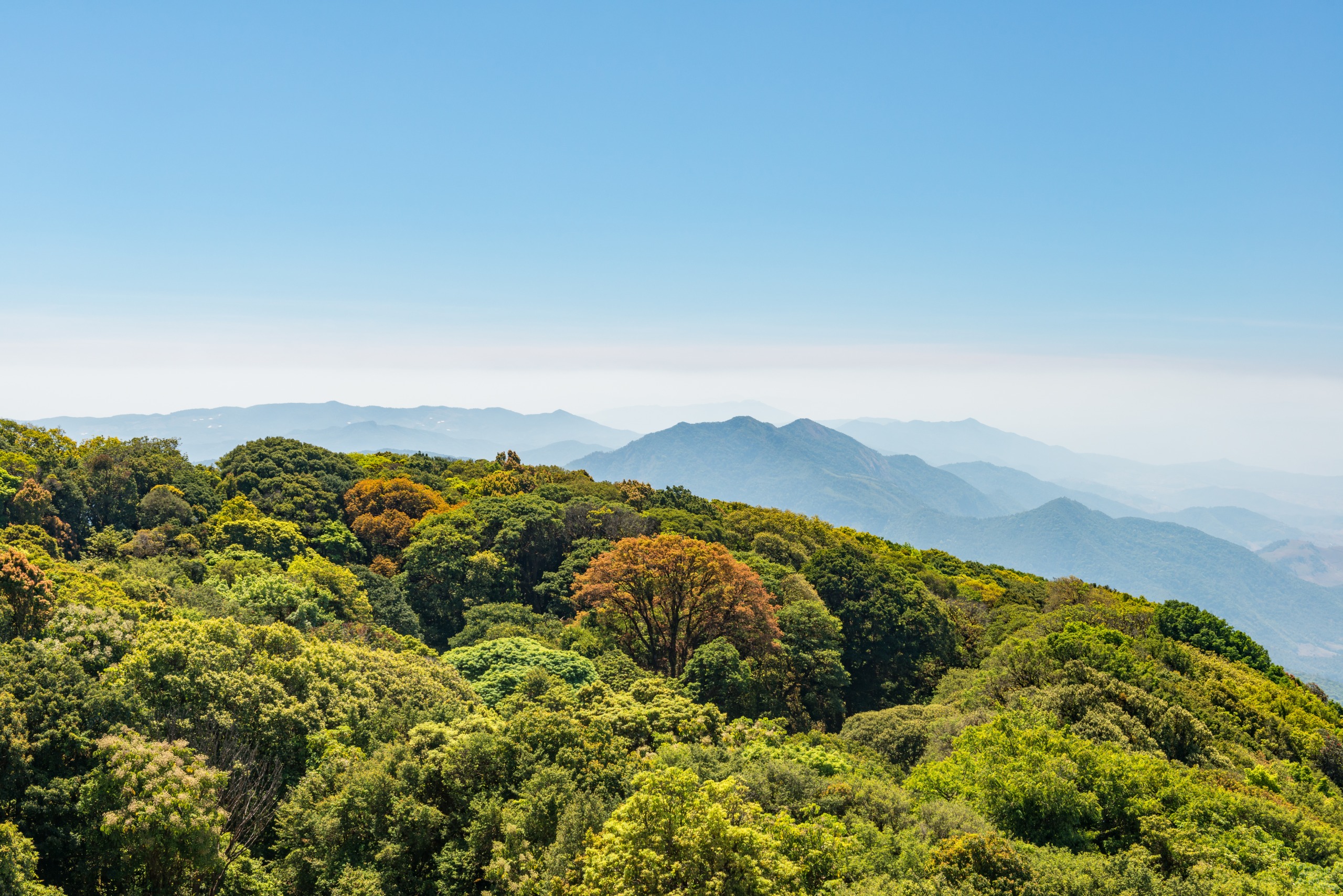 Kew Mae Pan nature trail