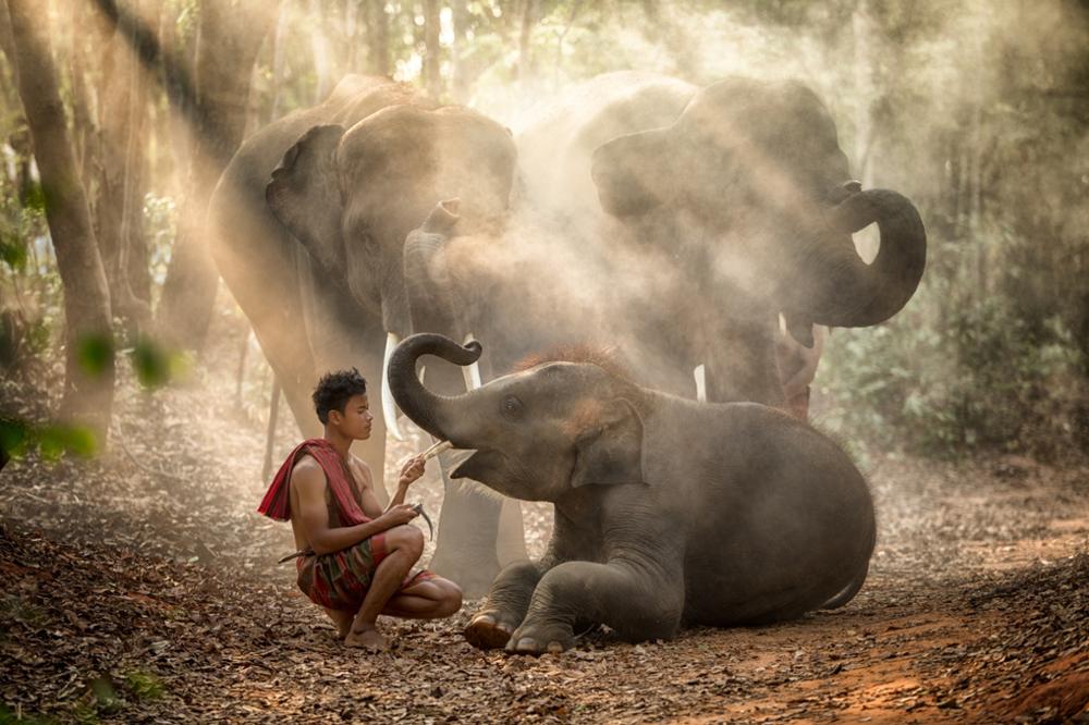Chiang Mai ou Chiang Rai : quelle ville choisir ?