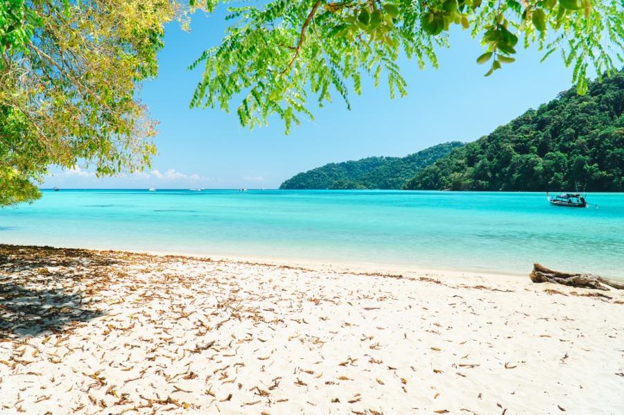 Les meilleurs spots de plongée en Thaïlande