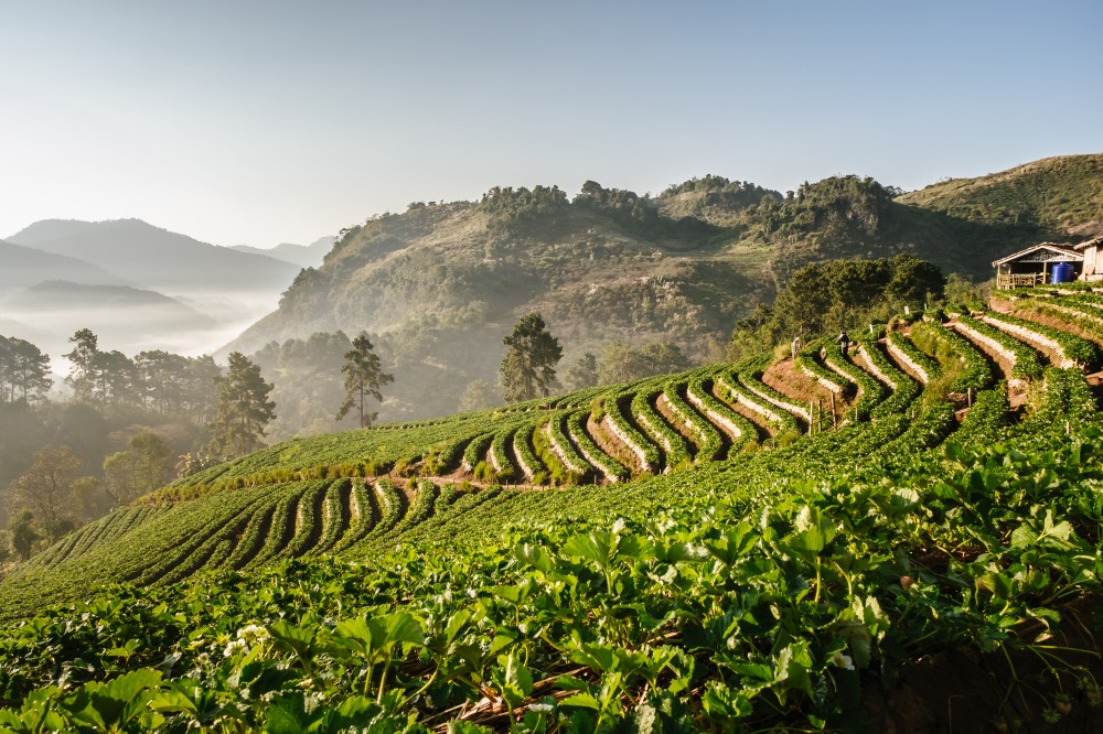 Le Massif Doi Ang Khang