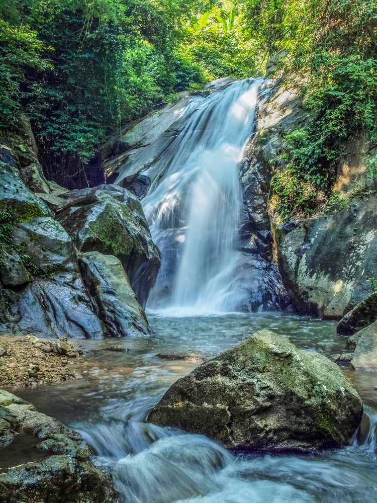 Nature sauvage