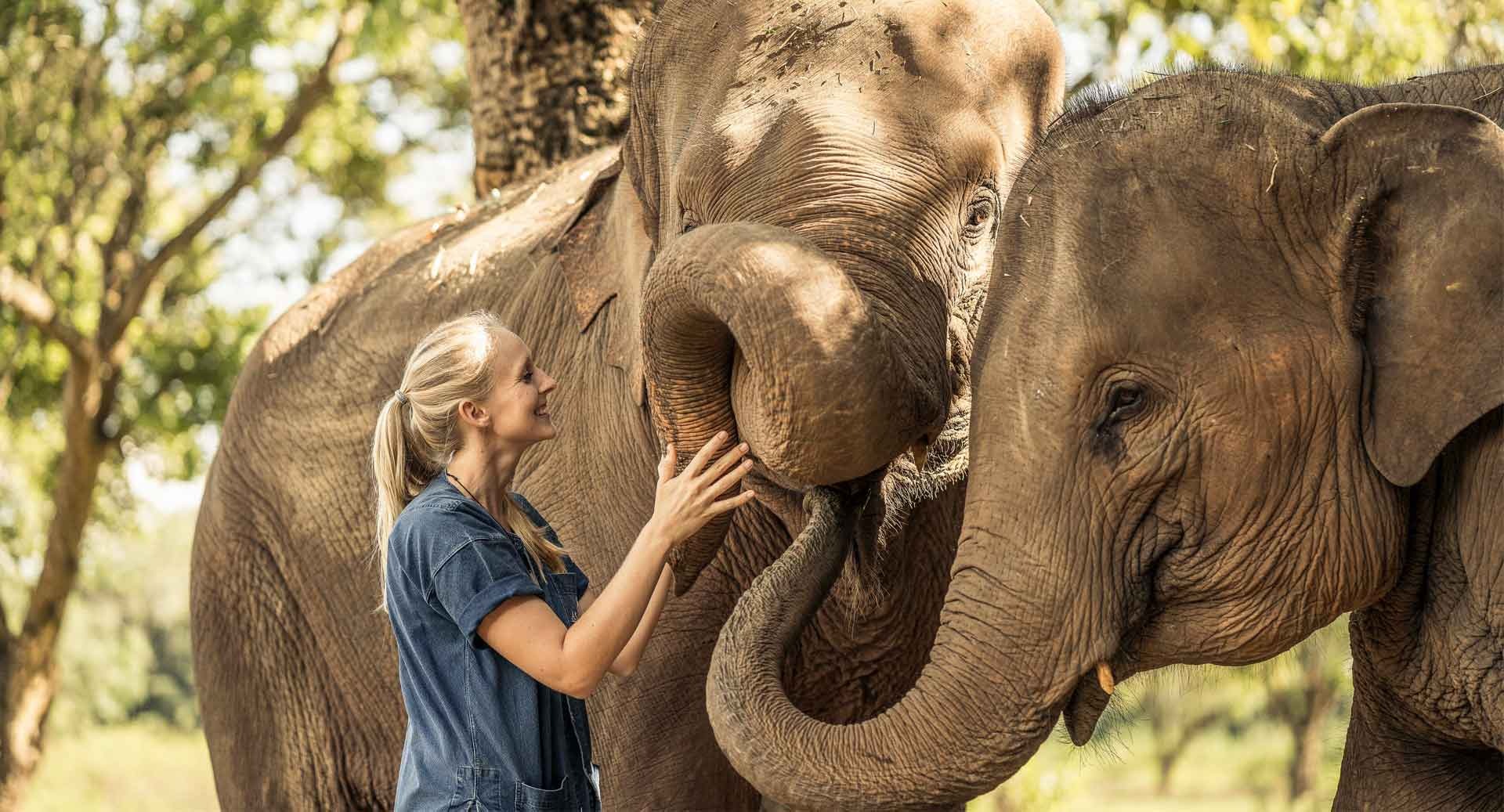 Kanchanaburi - Train de la mort et Elephant Haven