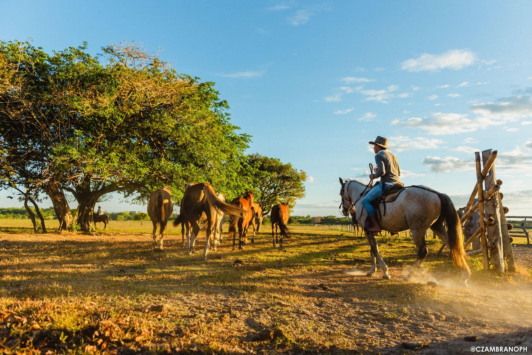 Réserve de Encanto de Guanapalo