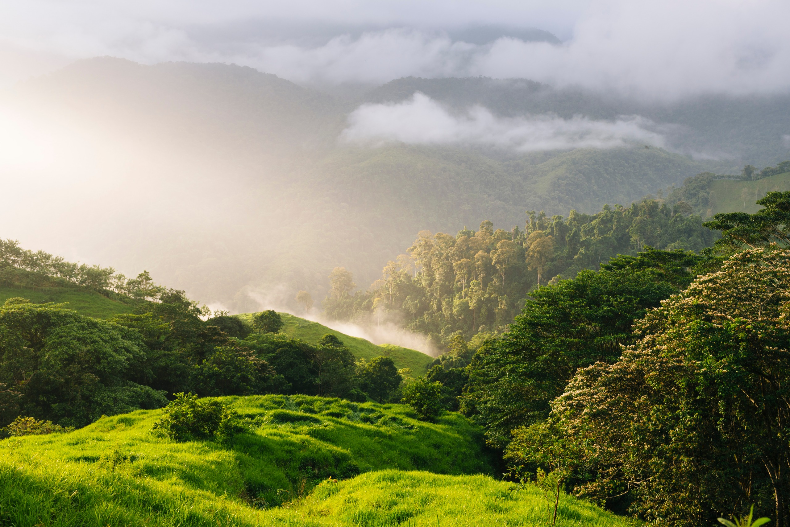 Les 4 plus beaux treks de Colombie
