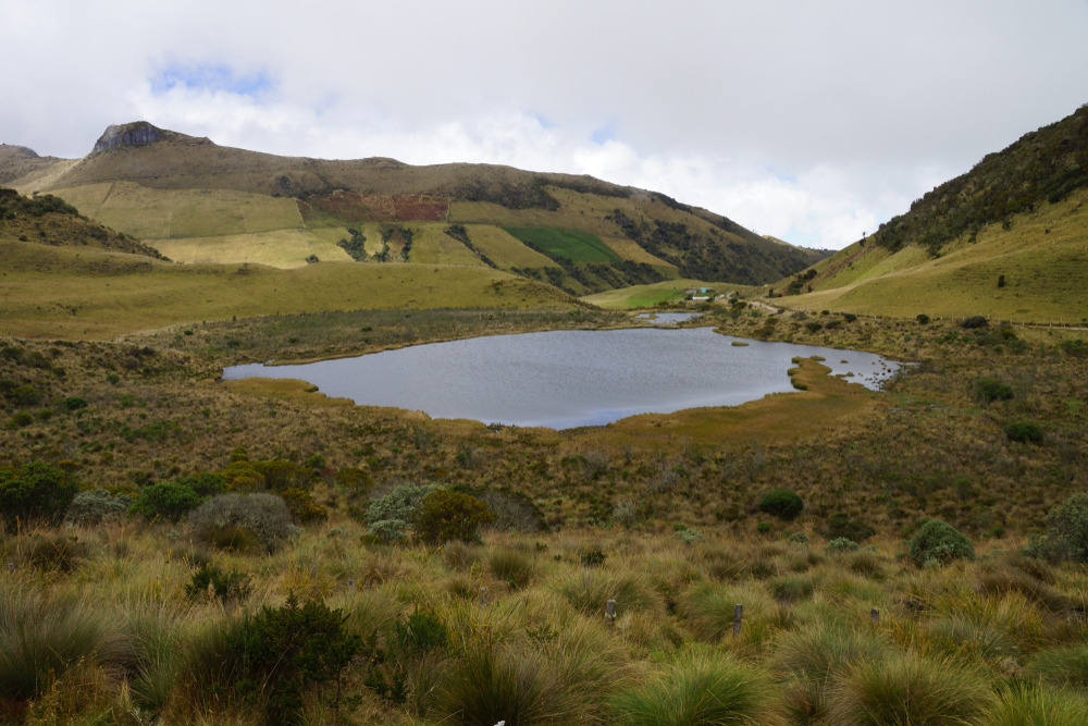 Laguna del Otún