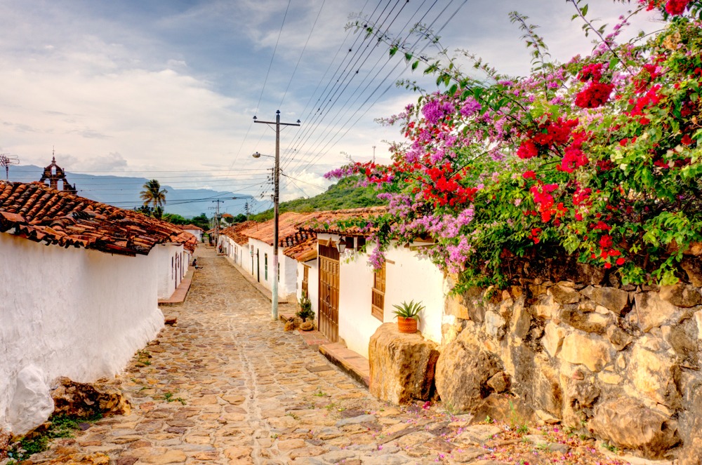 Guane