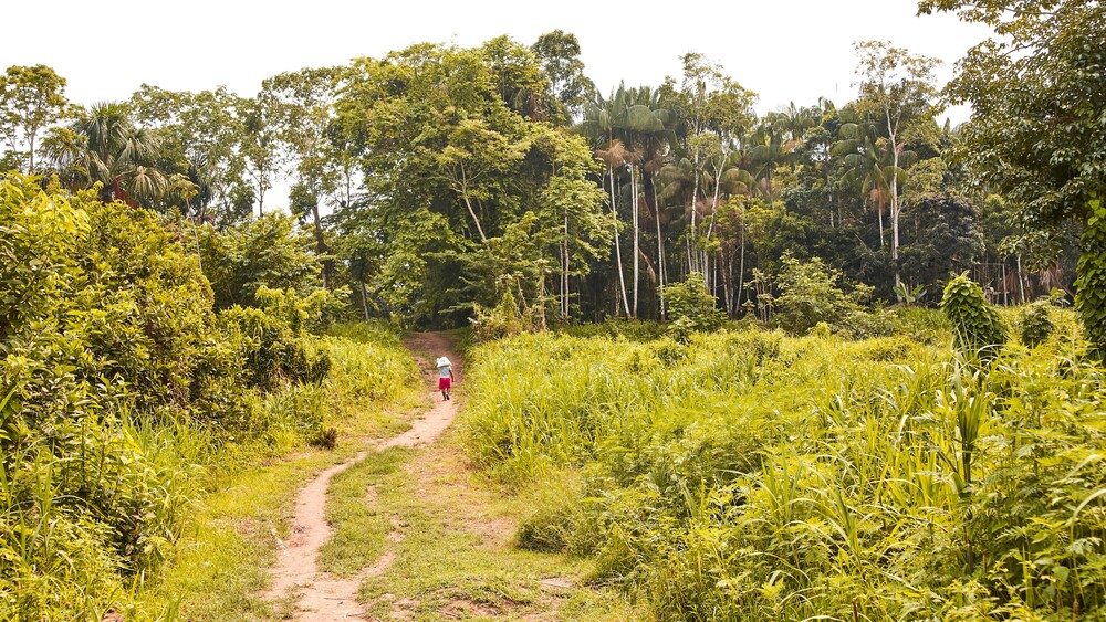 Amazzonia