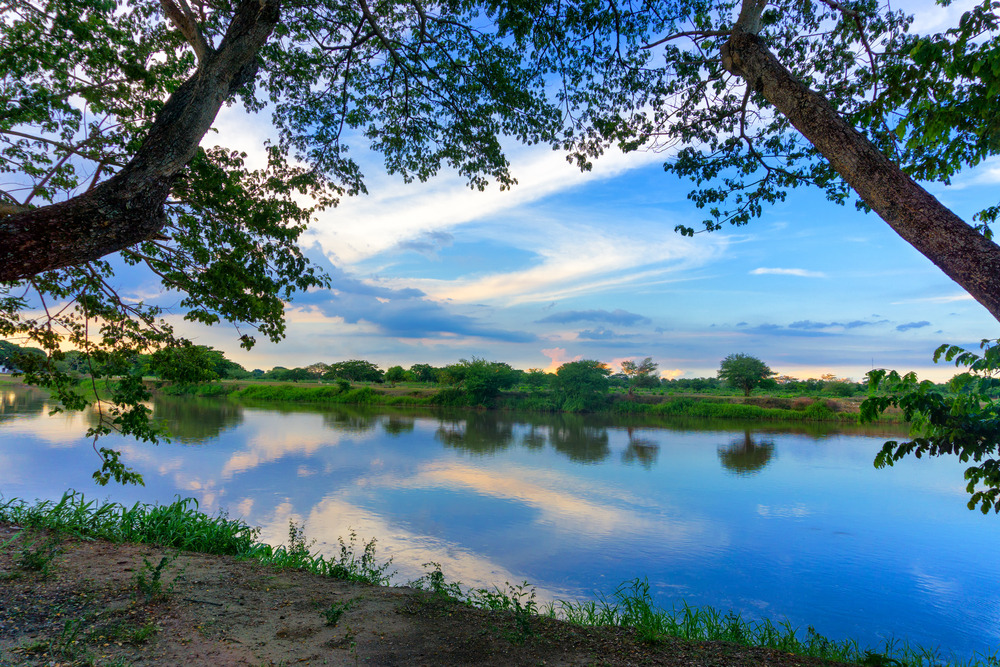Marais de Pijiño