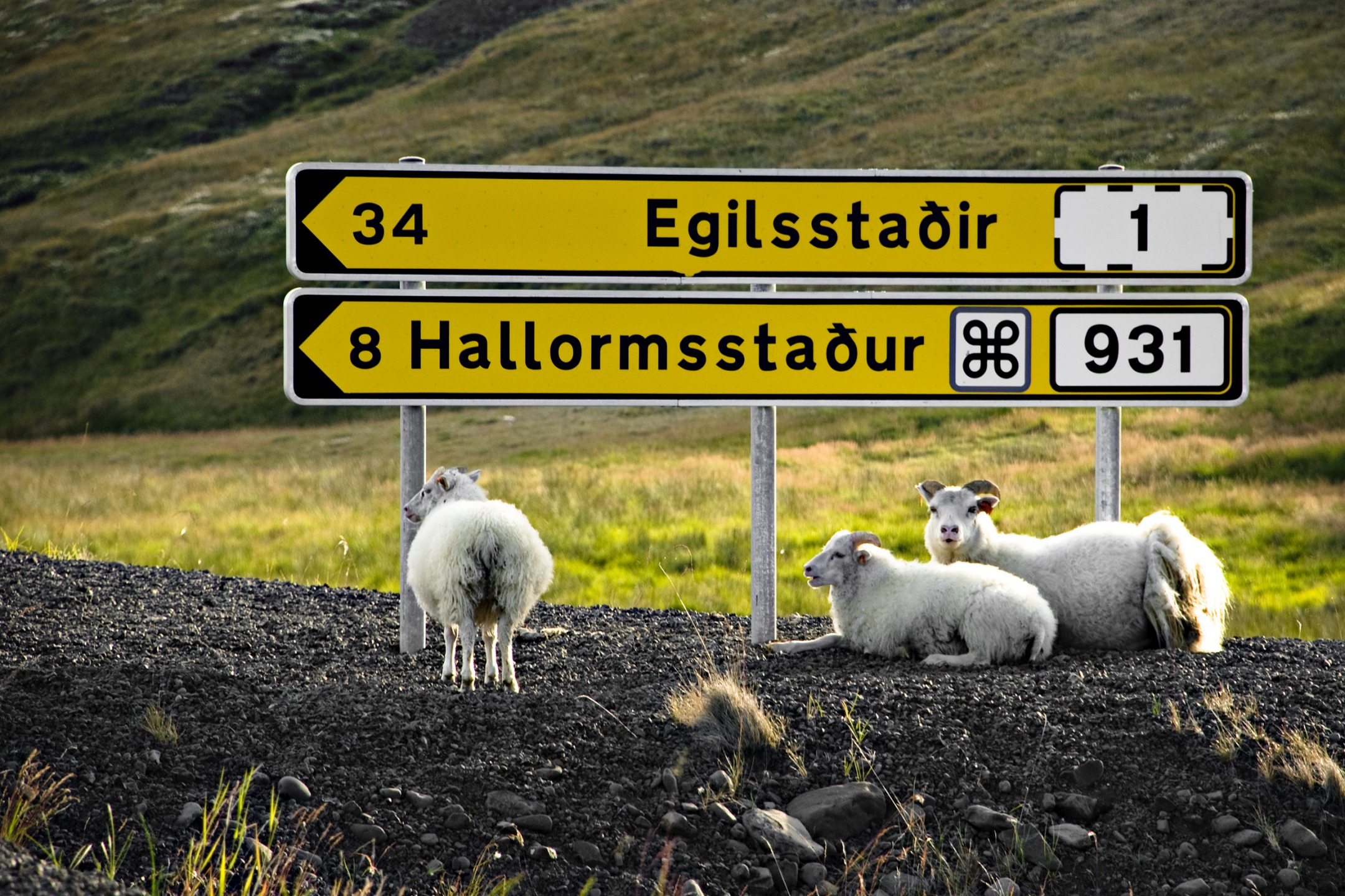 Distance entre les villes d’Islande