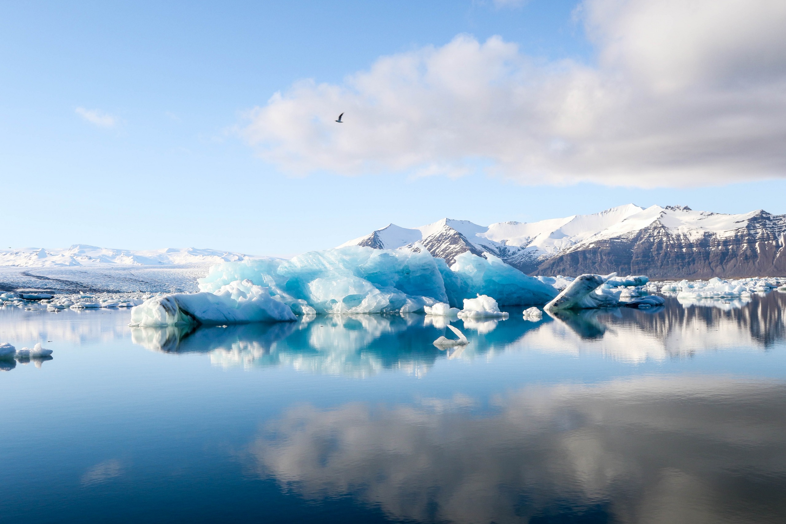 Quand partir en Islande ?