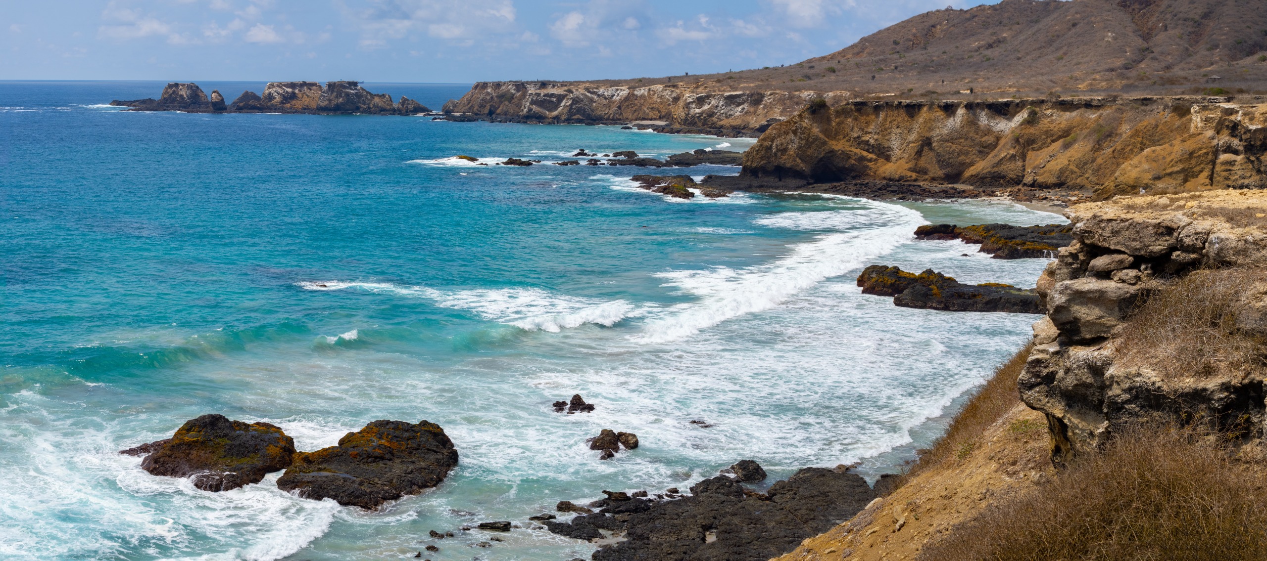 L'île de la Plata au large de Puerto Lopez : à la découverte de « la petite Galápagos » !