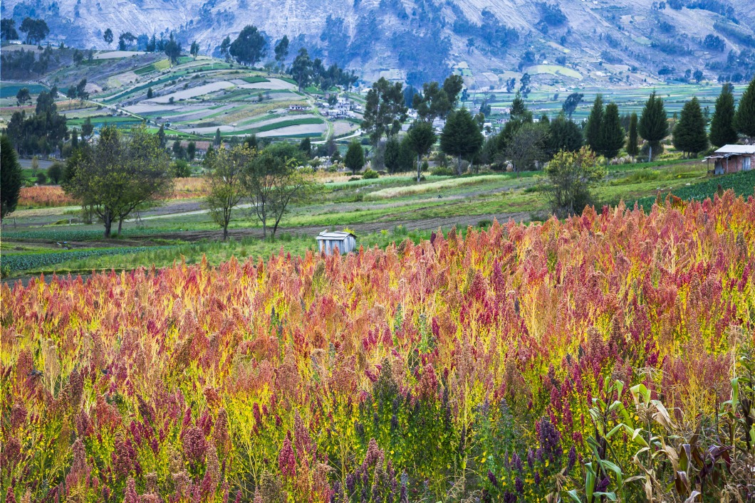 Riobamba