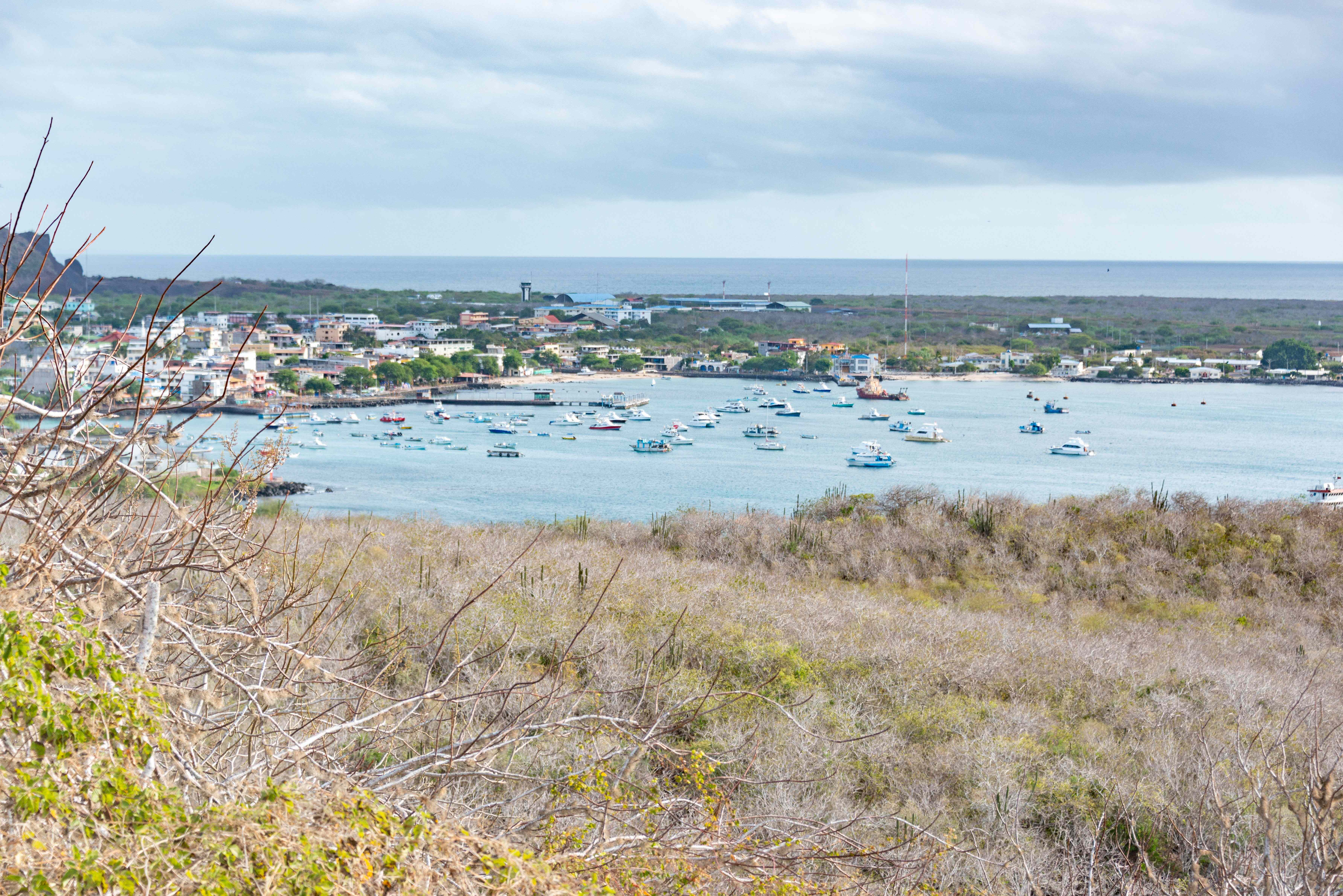 Tortuga Bay