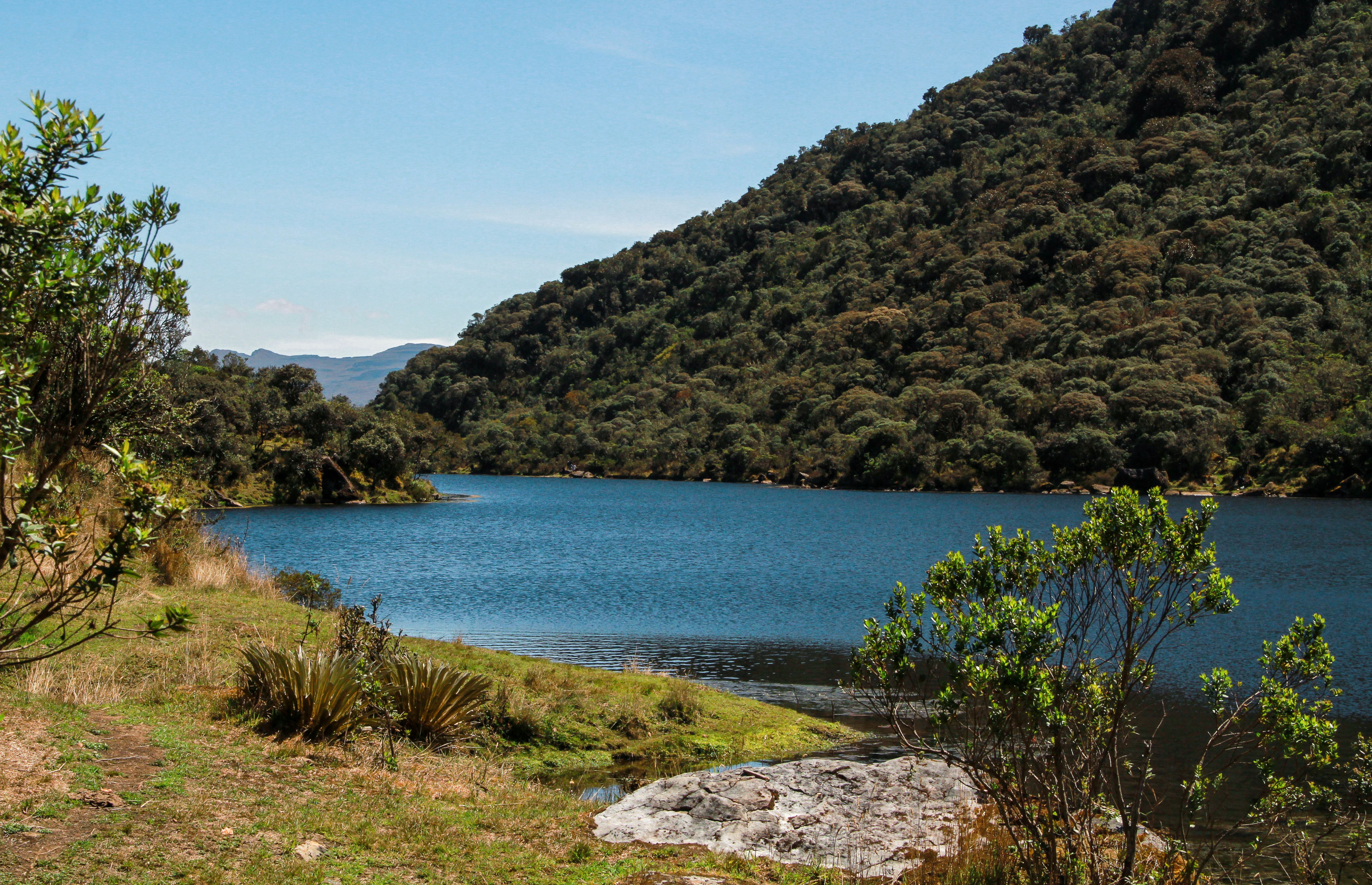 Zamora