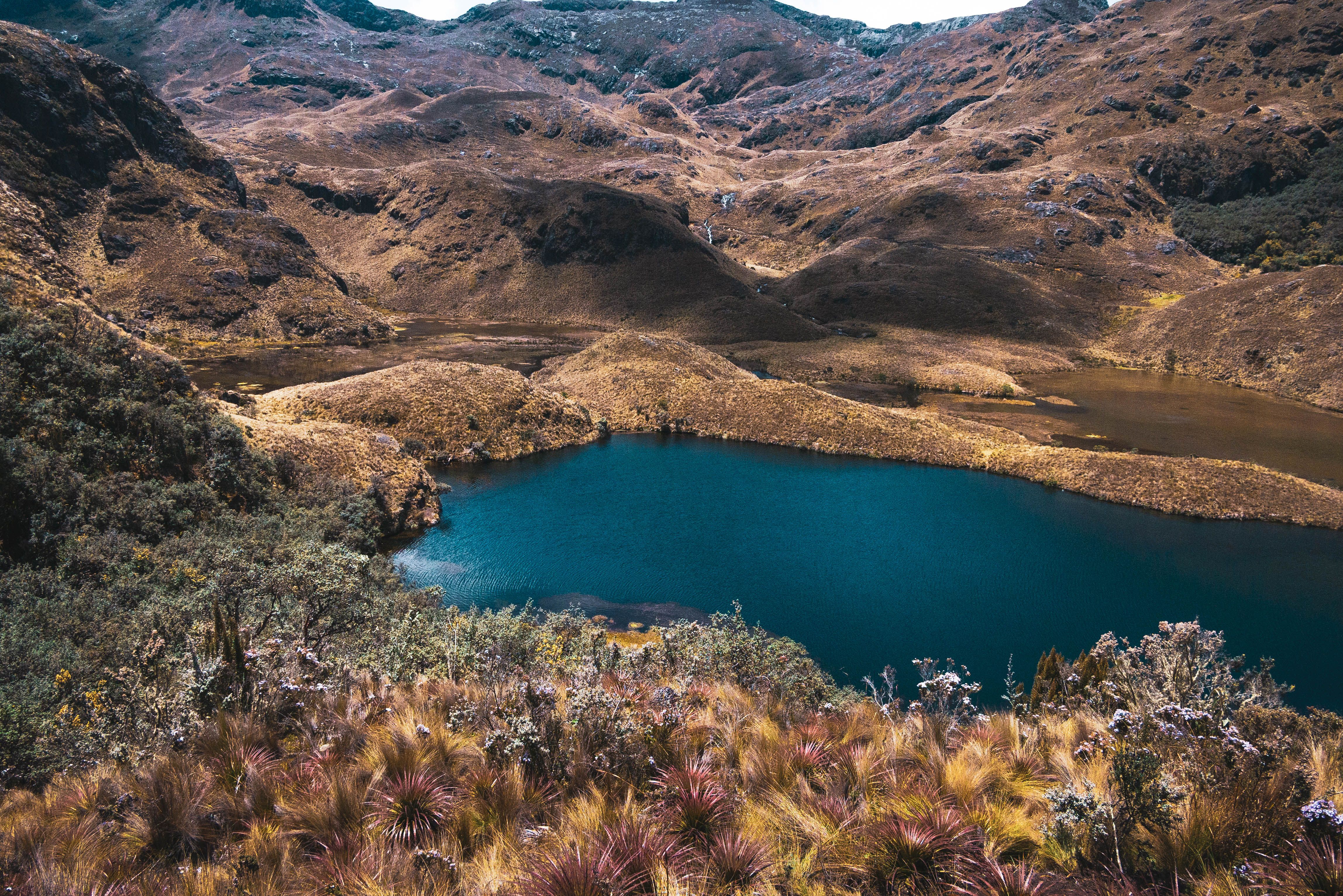 Cayambe-Coca Ecological Reserve