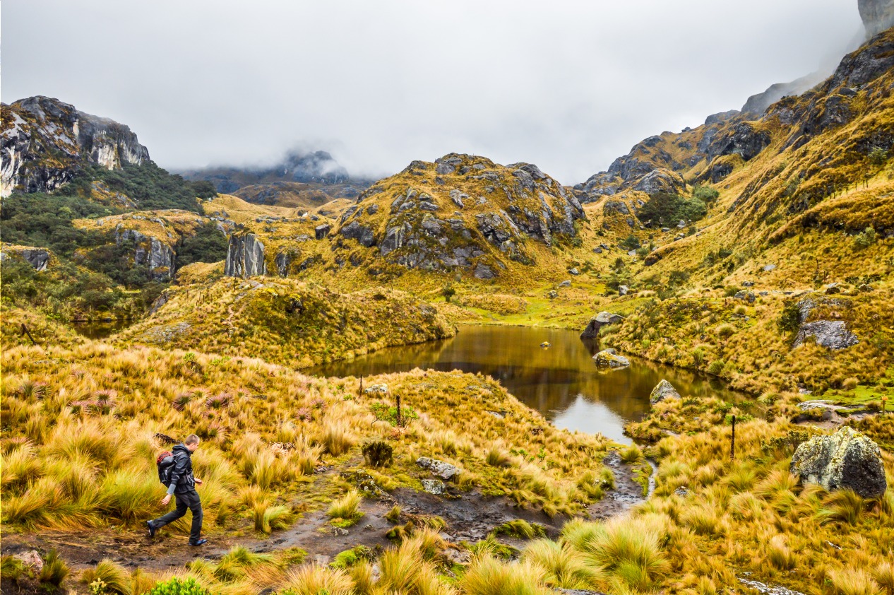 Parc national Cajas