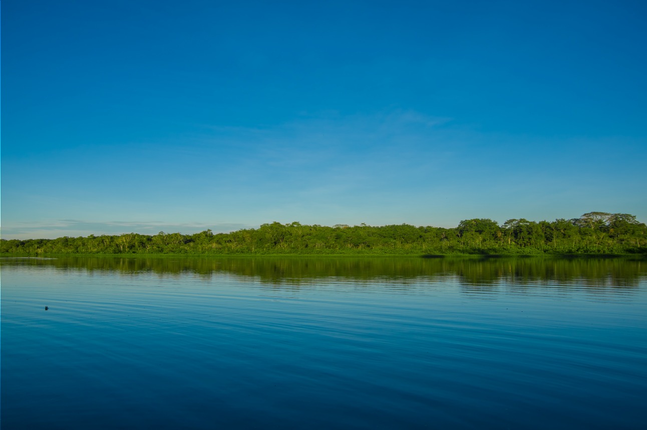 Lagune Limoncocha