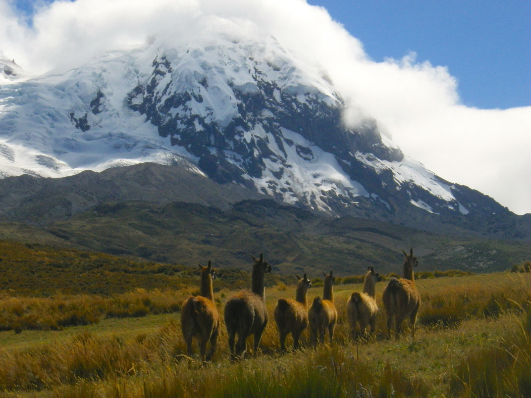 Chimborazo