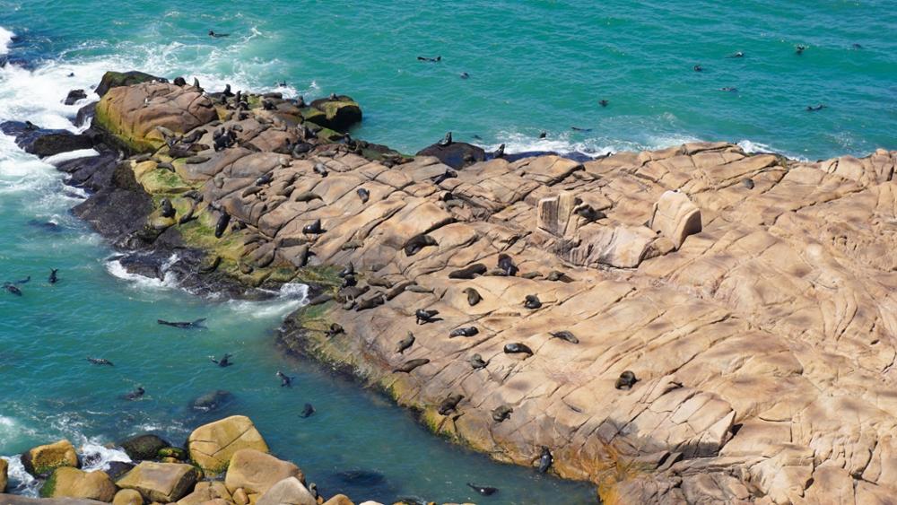 4 raisons de partir en voyage en Uruguay