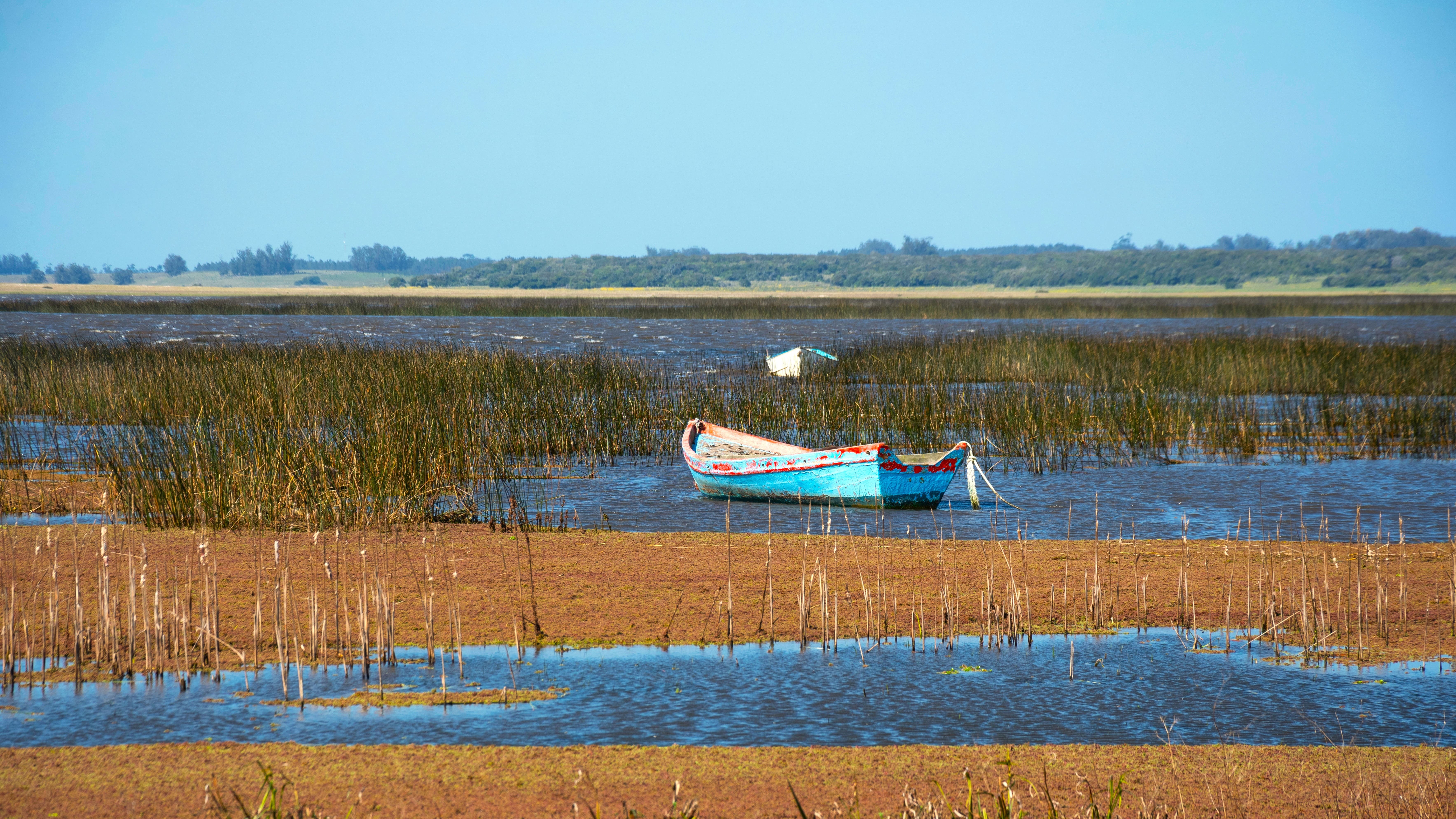 Landscape of the Rocha and northeastern lagoons region in Uruguay