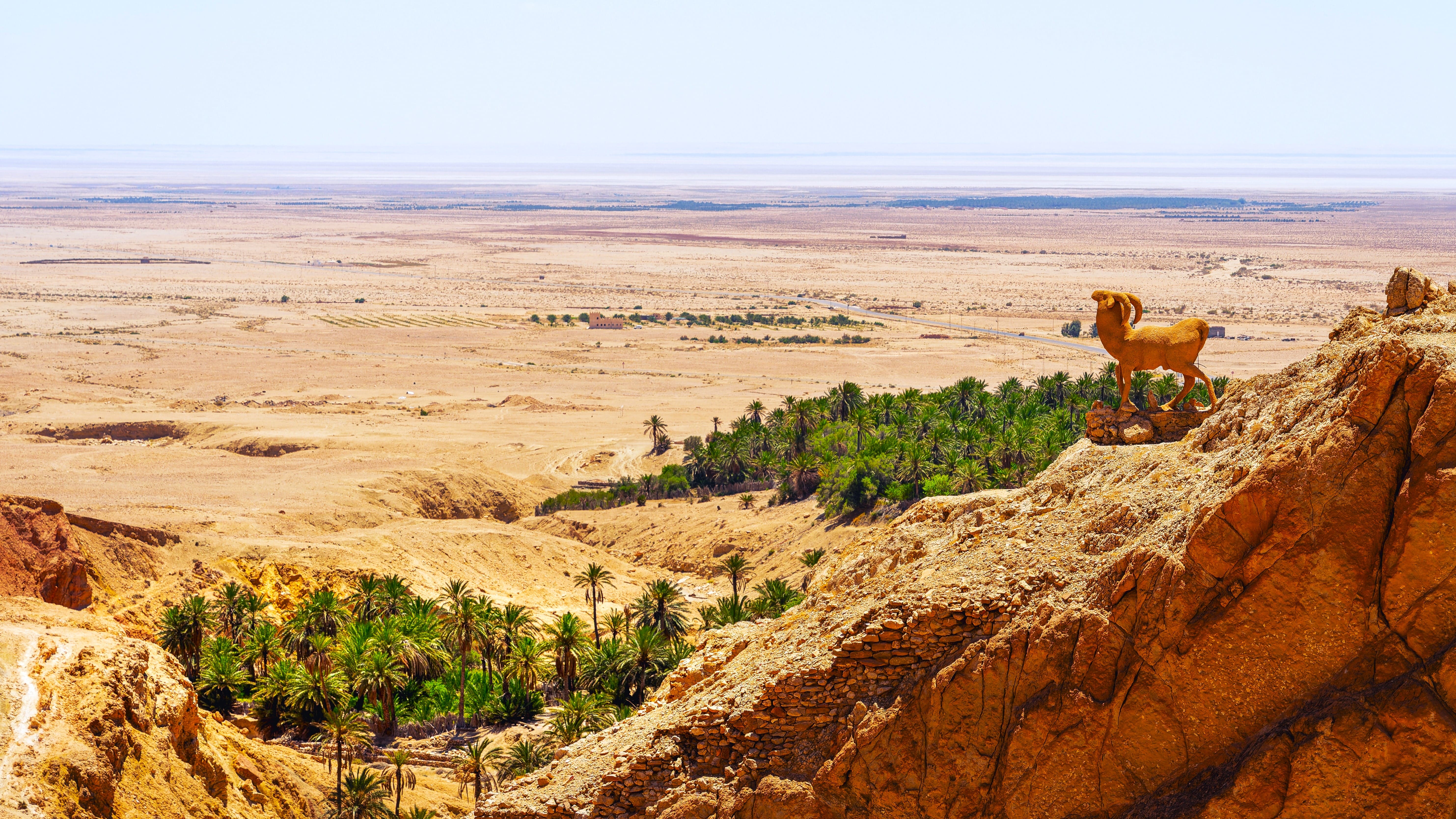 Sahara und Oasen