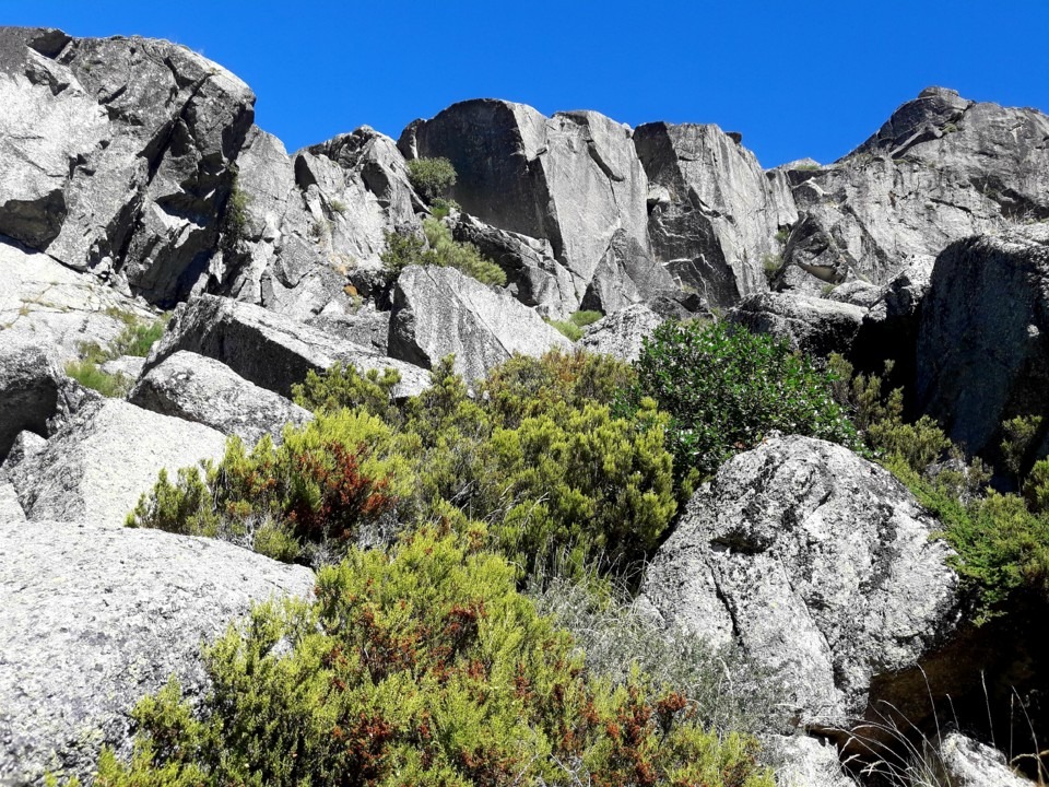 Garganta de Loriga